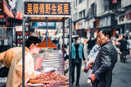 久草在现，历史与自然的交织对话